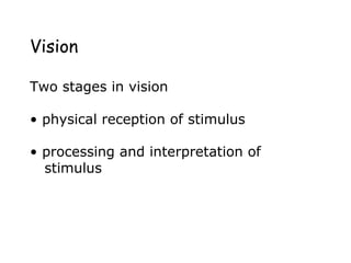 Vision
Two stages in vision
• physical reception of stimulus
• processing and interpretation of
stimulus
 