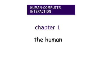 chapter 1
the human
 