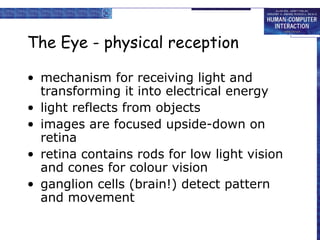 The Eye - physical reception
• mechanism for receiving light and
transforming it into electrical energy
• light reflects from objects
• images are focused upside-down on
retina
• retina contains rods for low light vision
and cones for colour vision
• ganglion cells (brain!) detect pattern
and movement
 