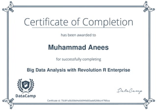Muhammad Anees
Big Data Analysis with Revolution R Enterprise
Certificate id: 75c9f1a5b30b64e0d0f49d50add5268cc47f95ca
 