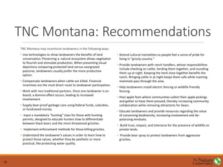 TNC Montana: Recommendations
• Amend cultural mentalities so people feel a sense of pride for
living in “grizzly country.”
• Provide landowners with ranch handlers, whose responsibilities
include checking on cattle, herding them together, and rounding
them up at night. Keeping the herd close together benefits the
ranch. Bringing cattle in at night keeps them safe while roaming
mammals pass through the area.
• Help landowners install electric fencing or wildlife-friendly
fencing.
• Host apple fests where communities collect their apple pickings
and gather to have them pressed, thereby increasing community
collaboration while removing attractants for bears.
• Educate landowners and provide resources regarding the value
of conserving biodiversity, increasing involvement and de-
polarizing mindsets.
• Build trust, respect, and tolerance for the presence of wildlife on
private lands.
• Provide bear spray to protect landowners from aggressive
grizzlies.
TNC Montana may incentivize landowners in the following ways:
• Use technologies to show landowners the benefits of land
conservation. Preserving a natural ecosystem allows vegetation
to flourish and stimulate production. When presenting visual
depictions comparing protected land versus overgrazed
pastures, landowners usually prefer the more productive
option.
• Compensate landowners when cattle are killed. Financial
incentives are the most direct route to landowner participation.
• Work with non-traditional partners. Once one landowner is on
board, a domino effect occurs, leading to increased
involvement.
• Supply bear-proof garbage cans using federal funds, subsidies,
or fundraised money.
• Input a mandatory “hunting” class for those with hunting
permits, designed to educate hunters how to differentiate
between black bears and the more threatened grizzlies.
• Implement enforcement methods for those killing grizzlies.
• Understand the landowner’s values in order to learn how to
protect those values, whether they be aesthetic or more
practical, like protecting water quality.
12
 