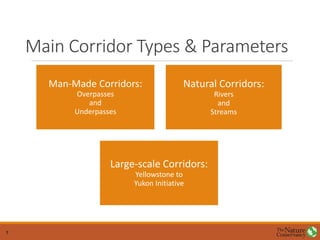 Main Corridor Types & Parameters
Man-Made Corridors:
Overpasses
and
Underpasses
Natural Corridors:
Rivers
and
Streams
Large-scale Corridors:
Yellowstone to
Yukon Initiative
7
 