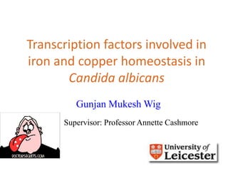 Transcription factors involved in
iron and copper homeostasis in
Candida albicans
Gunjan Mukesh Wig
Supervisor: Professor Annette Cashmore
 