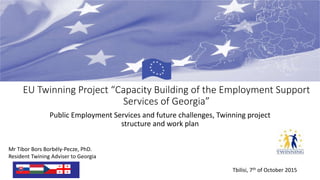EU Twinning Project “Capacity Building of the Employment Support
Services of Georgia”
Public Employment Services and future challenges, Twinning project
structure and work plan
Mr Tibor Bors Borbély-Pecze, PhD.
Resident Twining Adviser to Georgia
Tbilisi, 7th of October 2015
 