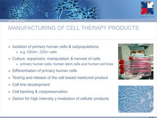 MANUFACTURING OF CELL THERAPY PRODUCTS 
»Isolation of primary human cells & subpopulations 
»e.g. CD34+, CD3+ cells 
»Culture, expansion, manipulation & harvest of cells 
»primary human cells, human stem cells and human cell lines 
»Differentiation of primary human cells 
»Testing and release of the cell based medicinal product 
»Cell line development 
»Cell banking & cryopreservation 
»Option for high intensity γ irradiation of cellular products 
GMP SERVICES 
12 / 15  