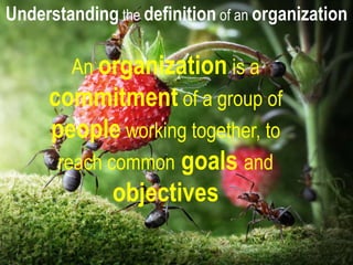 607-04-2016
An organization is a
commitment of a group of
people working together, to
reach common goals and
objectives
Understanding the definition of an organization
 
