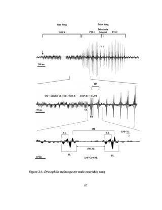 87
Figure 2-1. Drosophila melanogaster male courtship song
 