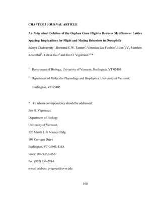 100
CHAPTER 3 JOURNAL ARTICLE
An N-terminal Deletion of the Orphan Gene Flightin Reduces Myofilament Lattice
Spacing: Implications for Flight and Mating Behaviors in Drosophila
Samya Chakravorty1
, Bertrand C.W. Tanner2
, Veronica Lee Foelber1
, Hien Vu1
, Matthew
Rosenthal1
, Teresa Ruiz2
and Jim O. Vigoreaux1,2,
*
1
Department of Biology, University of Vermont, Burlington, VT 05405
2
Department of Molecular Physiology and Biophysics, University of Vermont,
Burlington, VT 05405
* To whom correspondence should be addressed:
Jim O. Vigoreaux
Department of Biology
University of Vermont,
120 Marsh Life Science Bldg.
109 Carrigan Drive
Burlington, VT 05405, USA
voice: (802) 656-4627
fax: (802) 656-2914.
e-mail address: jvigorea@uvm.edu
 