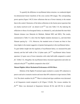 112
To quantify the difference in myofilament lattice structure, we conducted digital
two-dimensional fourier transform of the cross section EM images. The corresponding
power spectra (Figure 3-8C,F) show reflections that are of lower intensity in the mutant
than in the control. Harmonics of the lattice reflections in the fourier power spectrum that
are clearly resolved in fln+
are absent in flnN62
(see also Table 3-3). By indexing the
reflections to those of an hexagonal lattice, we obtained d1,0 and calculated the inter-thick
filament distance (see Materials & Methods, Method MS2 and MS3). The results,
summarized in Table 3-3, show that the flightin mutation decreases d1,0 and inter-thick
filament spacing by ~ 11%. Moreover, the standard errors of means are three to four
times higher in the mutant suggestive of greater heterogeneity in the myofilament lattice.
To gain further insight into the regularity of myofilament lattice, we measured the peak
intensity and the half width of the 1,0 plane spots. flnN62
myofilament lattice fourier
spectrum 1,0 spots were of lower intensities with wider half-width compared to control
fln+
(Table 3-3). Altogether, the myofilament lattice structural organization and order are
reduced in the flnN62
myofibrils compared to that of fln+
.
Mutant Flightin Affects Mechanical Performance of IFM Fibers
Deletion of the flightin N-terminal region resulted in a nearly 50% reduction in
passive and active isometric tension and more than 60% reduction in rigor tension (Table
3-4). The elastic modulus for flnN62
fibers in relaxed and rigor conditions were decreased
at all frequencies tested compared to fln
(Figure 3-9A,B). The viscous modulus for
flnN62
fibers was decreased at frequencies between 40 Hz and 650 Hz in relaxed
 