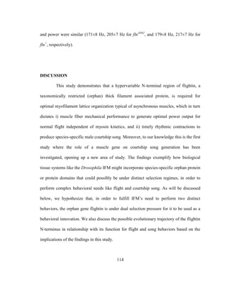 114
and power were similar (171±8 Hz, 205±7 Hz for flnΔN62
, and 179±8 Hz, 217±7 Hz for
fln+
, respectively).
DISCUSSION
This study demonstrates that a hypervariable N-terminal region of flightin, a
taxonomically restricted (orphan) thick filament associated protein, is required for
optimal myofilament lattice organization typical of asynchronous muscles, which in turn
dictates i) muscle fiber mechanical performance to generate optimal power output for
normal flight independent of myosin kinetics, and ii) timely rhythmic contractions to
produce species-specific male courtship song. Moreover, to our knowledge this is the first
study where the role of a muscle gene on courtship song generation has been
investigated, opening up a new area of study. The findings exemplify how biological
tissue systems like the Drosophila IFM might incorporate species-specific orphan protein
or protein domains that could possibly be under distinct selection regimes, in order to
perform complex behavioral needs like flight and courtship song. As will be discussed
below, we hypothesize that, in order to fulfill IFM’s need to perform two distinct
behaviors, the orphan gene flightin is under dual selection pressure for it to be used as a
behavioral innovation. We also discuss the possible evolutionary trajectory of the flightin
N-terminus in relationship with its function for flight and song behaviors based on the
implications of the findings in this study.
 