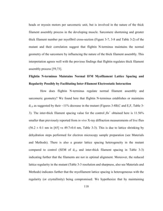 118
heads or myosin motors per sarcomeric unit, but is involved in the nature of the thick
filament assembly process in the developing muscle. Sarcomere shortening and greater
thick filament number per myofibril cross-section (Figure 3-7, 3-8 and Table 3-2) of the
mutant and their correlation suggest that flightin N-terminus maintains the normal
geometry of the sarcomere by influencing the nature of the thick filament assembly. This
interpretation agrees well with the previous findings that flightin regulates thick filament
assembly process [59,73].
Flightin N-terminus Maintains Normal IFM Myofilament Lattice Spacing and
Regularity Possibly by Facilitating Inter-Filament Electrostatic Interaction
How does flightin N-terminus regulate normal filament assembly and
sarcomeric geometry? We found here that flightin N-terminus establishes or maintains
d1,0 as suggested by their ~11% decrease in the mutant (Figures 3-8B,C and E,F, Table 3-
3). The inter-thick filament spacing value for the control fln+
obtained here is 11.56%
smaller than previously reported from in vivo X-ray diffraction measurements of live flies
(56.2 ± 0.1 nm in [65] vs 49.7±0.4 nm, Table 3-3). This is due to lattice shrinking by
dehydration steps performed for electron microcopy sample preparation (see Materials
and Methods). There is also a greater lattice spacing heterogeneity in the mutant
compared to control (SEM of d1,0 and inter-thick filament spacing in Table 3-3)
indicating further that the filaments are not in optimal alignment. Moreover, the reduced
lattice regularity in the mutant (Table 3-3 resolution and sharpness, also see Materials and
Methods) indicates further that the myofilament lattice spacing is heterogeneous with the
regularity (or crystallinity) being compromised. We hypothesize that by maintaining
 