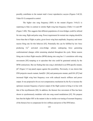 125
possibly contributes to the mutant male’s lower reproductive success (Figures 3-6C,D,
Video S3-3) compared to control.
The higher sine song frequency (SSF) in the mutant (Figures 3-4A,C) is
surprising to find, in contrast to similar flight wing beat frequency (Table 3-1) and IPF
(Figure 3-4D). This suggests that different populations of cross-bridges could be utilized
for sine song, flight and pulse song. Power requirement for normal sine singing should be
lower than that of flight or pulse, given lower wing beat amplitude, frequency and motor
neuron firing rate for this behavior [43]. Potentially this can be fulfilled by low force
producing Ca2+
activated cross-bridge subsets undergoing force generating
conformational changes while remaining attached throughout the cycle. Motor neuron
firing rate in direct flight muscles (DFM) during sine song has 1:1 correlation with wing
movements [85] tempting us to speculate that sine could be generated entirely by the
DFM contractions. But our finding that sine song is abolished in an IFM-specific mutant,
fln0
(Figure 3-3 top panel) argues against this possibility. Previously, it was shown that
IFM projectin muscle mutant, bent(D)+ [86] and paramyosin mutant, pmS18A [87] had
increased flight wing beat frequency even with reduced muscle stiffness and power
output. It was proposed to be an over-compensatory mechanism by the fly to increase the
optimum resonant frequency of power output of the flight system to bring it in line with
that of the myofilaments [88]. In addition, the thoracic box movement of flies has been
shown to synchronously modulate with sine song sound modulations [43]. We propose
here that the higher SSF in the mutant is due to similar over-tuning of resonant frequency
of the thoracic box to compensate for low stiffness and power of the IFM lattice.
 