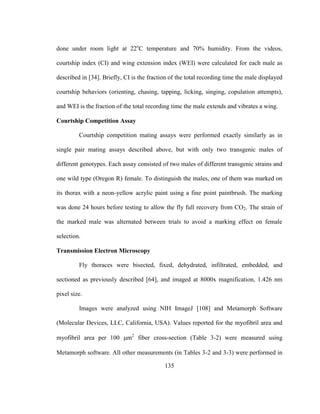 135
done under room light at 22o
C temperature and 70% humidity. From the videos,
courtship index (CI) and wing extension index (WEI) were calculated for each male as
described in [34]. Briefly, CI is the fraction of the total recording time the male displayed
courtship behaviors (orienting, chasing, tapping, licking, singing, copulation attempts),
and WEI is the fraction of the total recording time the male extends and vibrates a wing.
Courtship Competition Assay
Courtship competition mating assays were performed exactly similarly as in
single pair mating assays described above, but with only two transgenic males of
different genotypes. Each assay consisted of two males of different transgenic strains and
one wild type (Oregon R) female. To distinguish the males, one of them was marked on
its thorax with a neon-yellow acrylic paint using a fine point paintbrush. The marking
was done 24 hours before testing to allow the fly full recovery from CO2. The strain of
the marked male was alternated between trials to avoid a marking effect on female
selection.
Transmission Electron Microscopy
Fly thoraces were bisected, fixed, dehydrated, infiltrated, embedded, and
sectioned as previously described [64], and imaged at 8000x magnification, 1.426 nm
pixel size.
Images were analyzed using NIH ImageJ [108] and Metamorph Software
(Molecular Devices, LLC, California, USA). Values reported for the myofibril area and
myofibril area per 100 m2
fiber cross-section (Table 3-2) were measured using
Metamorph software. All other measurements (in Tables 3-2 and 3-3) were performed in
 