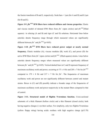 141
the fourier transform of B and E, respectively. Scale bars = 1μm (for A and D) and 0.1μm
(for B and E).
Figure 3-9. flnΔN62
IFM fibers have reduced stiffness and viscous properties. Elastic
and viscous moduli of skinned IFM fibers from fln+
(open circles) and flnΔN62
(filled
squares) in relaxing (A and B) and rigor (C and D) solutions. Horizontal lines below
asterisks denote frequency range through which measured values are significantly
different between fln+
and flnΔN62
(p<0.05).
Figure 3-10. flnΔN62
IFM fibers have reduced power output at nearly normal
frequency. Elastic modulus (A), viscous modulus (B), work (C), and power (D) for
active IFM fibers from fln+
(open circles) and flnΔN62
(filled squares) strains. Lines below
asterisks denote frequency ranges where measured values are significantly different
between fln+
and flnΔN62
(p<0.05). Vertical dashed lines in C and D represent frequency of
maximum oscillatory work and power, occurring at 171 ± 8 Hz and 205 ± 7 Hz for flnΔN62
compared to 179 ± 8 Hz and 217 ± 7 Hz for fln+
. The frequencies of maximum
oscillatory work and power are not significantly different between control and mutant
strains. Boxes in (C) and (D) possibly indicate a broader range of the frequencies of
maximum oscillatory work and power respectively in the mutant fibers compared to that
of control.
Figure 3-11. Structural model of flightin N-terminus function. Cross-sectional
schematic of a thick filament (hollow circle) and a thin filament (closed circle), both
having negative charges (-) on their surface. For simplicity, only two flightin N-terminus
(yellow floppy string) having acidic residues with high negative charge (pI:3.78)
 