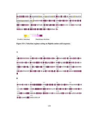 159
Figure S3-1. Selection regimes acting on flightin amino acid sequence.
A
B
 