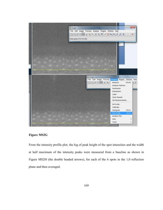 169
Figure MS2G
From the intensity profile plot, the log of peak height of the spot intensities and the width
at half maximum of the intensity peaks were measured from a baseline as shown in
Figure MS2H (the double headed arrows), for each of the 6 spots in the 1,0 reflection
plane and then averaged.
 