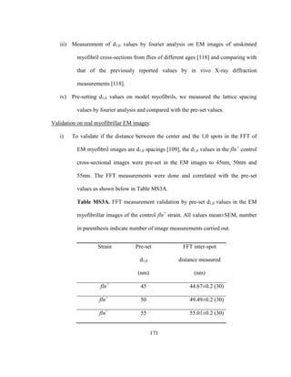 171
iii) Measurement of d1,0 values by fourier analysis on EM images of unskinned
myofibril cross-sections from flies of different ages [118] and comparing with
that of the previously reported values by in vivo X-ray diffraction
measurements [118].
iv) Pre-setting d1,0 values on model myofibrils, we measured the lattice spacing
values by fourier analysis and compared with the pre-set values.
Validation on real myofibrillar EM images:
i) To validate if the distance between the center and the 1,0 spots in the FFT of
EM myofibril images are d1,0 spacings [109], the d1,0 values in the fln+
control
cross-sectional images were pre-set in the EM images to 45nm, 50nm and
55nm. The FFT measurements were done and correlated with the pre-set
values as shown below in Table MS3A.
Table MS3A. FFT measurement validation by pre-set d1,0 values in the EM
myofibrillar images of the control fln+
strain. All values mean±SEM, number
in parenthesis indicate number of image measurements carried out.
Strain Pre-set
d1,0
(nm)
FFT inter-spot
distance measured
(nm)
fln+
45 44.67±0.2 (30)
fln+
50 49.49±0.2 (30)
fln+
55 55.01±0.2 (30)
 