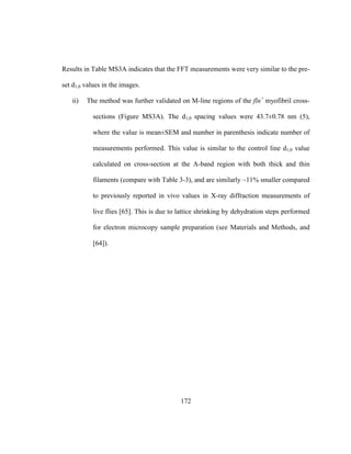 172
Results in Table MS3A indicates that the FFT measurements were very similar to the pre-
set d1,0 values in the images.
ii) The method was further validated on M-line regions of the fln+
myofibril cross-
sections (Figure MS3A). The d1,0 spacing values were 43.7±0.78 nm (5),
where the value is mean±SEM and number in parenthesis indicate number of
measurements performed. This value is similar to the control line d1,0 value
calculated on cross-section at the A-band region with both thick and thin
filaments (compare with Table 3-3), and are similarly ~11% smaller compared
to previously reported in vivo values in X-ray diffraction measurements of
live flies [65]. This is due to lattice shrinking by dehydration steps performed
for electron microcopy sample preparation (see Materials and Methods, and
[64]).
 