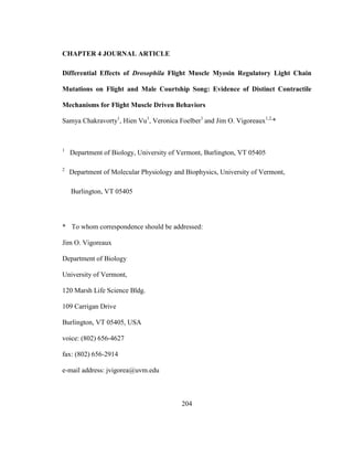 204
CHAPTER 4 JOURNAL ARTICLE
Differential Effects of Drosophila Flight Muscle Myosin Regulatory Light Chain
Mutations on Flight and Male Courtship Song: Evidence of Distinct Contractile
Mechanisms for Flight Muscle Driven Behaviors
Samya Chakravorty1
, Hien Vu1
, Veronica Foelber1
and Jim O. Vigoreaux1,2,
*
1
Department of Biology, University of Vermont, Burlington, VT 05405
2
Department of Molecular Physiology and Biophysics, University of Vermont,
Burlington, VT 05405
* To whom correspondence should be addressed:
Jim O. Vigoreaux
Department of Biology
University of Vermont,
120 Marsh Life Science Bldg.
109 Carrigan Drive
Burlington, VT 05405, USA
voice: (802) 656-4627
fax: (802) 656-2914
e-mail address: jvigorea@uvm.edu
 