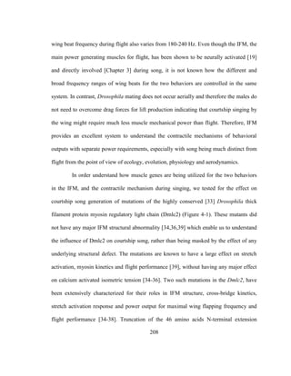 208
wing beat frequency during flight also varies from 180-240 Hz. Even though the IFM, the
main power generating muscles for flight, has been shown to be neurally activated [19]
and directly involved [Chapter 3] during song, it is not known how the different and
broad frequency ranges of wing beats for the two behaviors are controlled in the same
system. In contrast, Drosophila mating does not occur aerially and therefore the males do
not need to overcome drag forces for lift production indicating that courtship singing by
the wing might require much less muscle mechanical power than flight. Therefore, IFM
provides an excellent system to understand the contractile mechanisms of behavioral
outputs with separate power requirements, especially with song being much distinct from
flight from the point of view of ecology, evolution, physiology and aerodynamics.
In order understand how muscle genes are being utilized for the two behaviors
in the IFM, and the contractile mechanism during singing, we tested for the effect on
courtship song generation of mutations of the highly conserved [33] Drosophila thick
filament protein myosin regulatory light chain (Dmlc2) (Figure 4-1). These mutants did
not have any major IFM structural abnormality [34,36,39] which enable us to understand
the influence of Dmlc2 on courtship song, rather than being masked by the effect of any
underlying structural defect. The mutations are known to have a large effect on stretch
activation, myosin kinetics and flight performance [39], without having any major effect
on calcium activated isometric tension [34-36]. Two such mutations in the Dmlc2, have
been extensively characterized for their roles in IFM structure, cross-bridge kinetics,
stretch activation response and power output for maximal wing flapping frequency and
flight performance [34-38]. Truncation of the 46 amino acids N-terminal extension
 