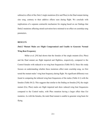 211
subtractive effect of the Dmlc2 single mutations (Ext and Phos) in the Dual mutant during
sine song, contrary to their additive effects seen during flight. We conclude with
implications of a separate contractile mechanism for singing based on our findings that
Dmlc2 mutations affecting stretch activation have minimal to no effect on courtship song
parameters.
RESULTS
Dmlc2 Mutant Males are Flight Compromised and Unable to Generate Normal
Wing Beat Frequency
Miller et al. [39] had shown that the females of the single mutants (Ext, Phos)
and the Dual mutant are flight impaired and flightless, respectively, compared to the
Control females with reduced or no wing beat frequencies (Table S4-2). Since this study
focuses on understanding whether these mutations affect male courtship song, we first
tested the mutant males’ wing beat frequency during flight. No significant difference was
found in comparing the tethered wing beat frequencies of the males (Table 4-1) with the
females (Table S4-2). This suggests that similar to the finding on females [39], the single
mutant (Ext, Phos) males are flight impaired and show reduced wing beat frequencies
compared to the Control males, with Phos mutation having a larger effect than Ext
mutation. As with the females, the male Dual mutant is unable to generate wing beats for
flying.
 