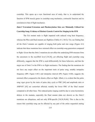 215
courtship. This opens up a new functional area of study, that is, to understand the
function of IFM muscle genes in courtship song mechanics, contractile function and its
correlation to that of flight mechanics.
Dmlc2 N-terminal Extension and Phoshorylation Sites are Minimally Utilized for
Courtship Song: Evidence of Distinct Genetic Control for Singing in the IFM
The Ext mutant male is flight impaired with reduced wing beat frequency,
whereas the Phos and Dual mutants are flightless (Tables 4-1, S4-2), Yet, our finding that
all the Dmlc2 mutants are capable of singing both pulse and sine songs (Figure 4-2)
indicate that these mutations have minimal effect on courtship song generation compared
to flight. Given that the Dmlc2 mutations do not affect the underlying IFM structure from
the sarcomere to the myofibril level [34,36], yet affecting flight and courtship song
differently, suggests that the IFM is used differentially for these behaviors, and that the
major use of Dmlc2 in the IFM is in flight mechanics. The finding that the mutations do
not have any major effect on the important traits of pulse song, notably intrapulse
frequency (IPF; Figure 4-4C) and interpulse interval (IPI; Figure 4-4D), suggests the
minimal effect compared to the drastic effect on flight. Albeit, it is evident that the pulse
song vigor given by the traits of pulse duty cycle or PDC [44] and amplitude ratio or
AMP-RT [45] are somewhat affected, notably the lower PDC of the Dual mutant
compared to all other lines. This reduced pulse singing could be due to some locomotory
defects in the mutants, especially the Dual mutant (data not shown) as the Dmlc2
mutations are ubiquitous, and not only IFM-specific [34,36,38,46]. This is due to the
reason that courtship song can be affected by any part of the entire sequential mating
 