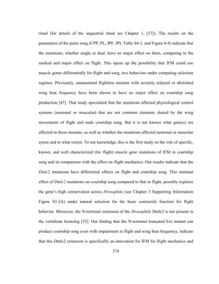216
ritual (for details of the sequential ritual see Chapter 1, [17]). The results on the
parameters of the pulse song (CPP, PL, IPF, IPI, Table S4-1, and Figure 4-4) indicate that
the mutations, whether single or dual, have no major effect on them, comparing to the
marked and major effect on flight. This opens up the possibility that IFM could use
muscle genes differentially for flight and song, two behaviors under competing selection
regimes. Previously, unannotated flightless mutants with severely reduced or abolished
wing beat frequency have been shown to have no major effect on courtship song
production [47]. That study speculated that the mutations affected physiological control
systems (neuronal or muscular) that are not common elements shared by the wing
movements of flight and male courtship song. But it is not known what gene(s) are
affected in those mutants, as well as whether the mutations affected neuronal or muscular
sytem and to what extent. To our knowledge, this is the first study on the role of specific,
known, and well characterized (for flight) muscle gene mutations of IFM in courtship
song and its comparison with the effect on flight mechanics. Our results indicate that the
Dmlc2 mutations have differential effects on flight and courtship song. This minimal
effect of Dmlc2 mutations on courtship song compared to that in flight, possibly explains
the gene’s high conservation across Drosophila (see Chapter 3 Supporting Information
Figure S3-2A) under natural selection for the basic contractile function for flight
behavior. Moreover, the N-terminal extension of the Drosophila Dmlc2 is not present in
the vertebrate homolog [33]. Our finding that the N-terminal truncated Ext mutant can
produce courtship song even with impairment in flight and wing beat frequency, indicate
that this Dmlc2 extension is specifically an innovation for IFM for flight mechanics and
 