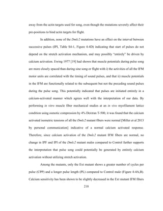 218
away from the actin targets used for song, even though the mutations severely affect their
pre-positions to bind actin targets for flight.
In addition, none of the Dmlc2 mutations have an effect on the interval between
successive pulses (IPI, Table S4-1, Figure 4-4D) indicating that start of pulses do not
depend on the stretch activation mechanism, and may possibly “entirely” be driven by
calcium activation. Ewing 1977 [19] had shown that muscle potentials during pulse song
are more closely spaced than during sine song or flight with i) the activities of all the IFM
motor units are correlated with the timing of sound pulses, and that ii) muscle potentials
in the IFM are functionally related to the subsequent but not the preceding sound pulses
during the pulse song. This potentially indicated that pulses are initiated entirely in a
calcium-activated manner which agrees well with the interpretation of our data. By
performing in vitro muscle fiber mechanical studies at an in vivo myofilament lattice
condition using osmotic compression by 4% Dextran T-500, it was found that the calcium
activated isometric tensions of all the Dmlc2 mutant fibers were normal [Miller et al 2013
by personal communication] indicative of a normal calcium activated response.
Therefore, since calcium activation of the Dmlc2 mutant IFM fibers are normal, no
change in IPF and IPI of the Dmlc2 mutant males compared to Control further supports
the interpretation that pulse song could potentially be generated by entirely calcium
activation without utilizing stretch activation.
Among the mutants, only the Ext mutant shows a greater number of cycles per
pulse (CPP) and a longer pulse length (PL) compared to Control male (Figure 4-4A,B).
Calcium sensitivity has been shown to be slightly decreased in the Ext mutant IFM fibers
 