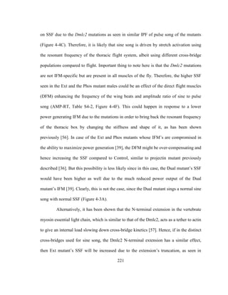 221
on SSF due to the Dmlc2 mutations as seen in similar IPF of pulse song of the mutants
(Figure 4-4C). Therefore, it is likely that sine song is driven by stretch activation using
the resonant frequency of the thoracic flight system, albeit using different cross-bridge
populations compared to flight. Important thing to note here is that the Dmlc2 mutations
are not IFM-specific but are present in all muscles of the fly. Therefore, the higher SSF
seen in the Ext and the Phos mutant males could be an effect of the direct flight muscles
(DFM) enhancing the frequency of the wing beats and amplitude ratio of sine to pulse
song (AMP-RT, Table S4-2, Figure 4-4F). This could happen in response to a lower
power generating IFM due to the mutations in order to bring back the resonant frequency
of the thoracic box by changing the stiffness and shape of it, as has been shown
previously [56]. In case of the Ext and Phos mutants whose IFM’s are compromised in
the ability to maximize power generation [39], the DFM might be over-compensating and
hence increasing the SSF compared to Control, similar to projectin mutant previously
described [36]. But this possibility is less likely since in this case, the Dual mutant’s SSF
would have been higher as well due to the much reduced power output of the Dual
mutant’s IFM [39]. Clearly, this is not the case, since the Dual mutant sings a normal sine
song with normal SSF (Figure 4-3A).
Alternatively, it has been shown that the N-terminal extension in the vertebrate
myosin essential light chain, which is similar to that of the Dmlc2, acts as a tether to actin
to give an internal load slowing down cross-bridge kinetics [57]. Hence, if in the distinct
cross-bridges used for sine song, the Dmlc2 N-terminal extension has a similar effect,
then Ext mutant’s SSF will be increased due to the extension’s truncation, as seen in
 
