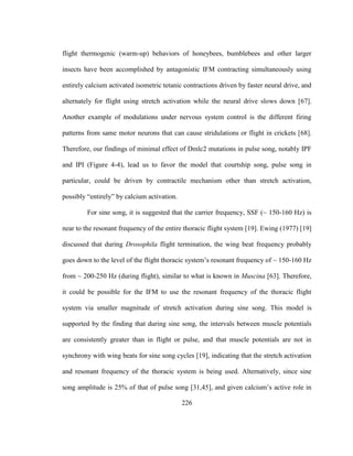 226
flight thermogenic (warm-up) behaviors of honeybees, bumblebees and other larger
insects have been accomplished by antagonistic IFM contracting simultaneously using
entirely calcium activated isometric tetanic contractions driven by faster neural drive, and
alternately for flight using stretch activation while the neural drive slows down [67].
Another example of modulations under nervous system control is the different firing
patterns from same motor neurons that can cause stridulations or flight in crickets [68].
Therefore, our findings of minimal effect of Dmlc2 mutations in pulse song, notably IPF
and IPI (Figure 4-4), lead us to favor the model that courtship song, pulse song in
particular, could be driven by contractile mechanism other than stretch activation,
possibly “entirely” by calcium activation.
For sine song, it is suggested that the carrier frequency, SSF (~ 150-160 Hz) is
near to the resonant frequency of the entire thoracic flight system [19]. Ewing (1977) [19]
discussed that during Drosophila flight termination, the wing beat frequency probably
goes down to the level of the flight thoracic system’s resonant frequency of ~ 150-160 Hz
from ~ 200-250 Hz (during flight), similar to what is known in Muscina [63]. Therefore,
it could be possible for the IFM to use the resonant frequency of the thoracic flight
system via smaller magnitude of stretch activation during sine song. This model is
supported by the finding that during sine song, the intervals between muscle potentials
are consistently greater than in flight or pulse, and that muscle potentials are not in
synchrony with wing beats for sine song cycles [19], indicating that the stretch activation
and resonant frequency of the thoracic system is being used. Alternatively, since sine
song amplitude is 25% of that of pulse song [31,45], and given calcium’s active role in
 