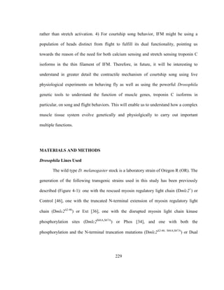 229
rather than stretch activation. 4) For courtship song behavior, IFM might be using a
population of heads distinct from flight to fulfill its dual functionality, pointing us
towards the reason of the need for both calcium sensing and stretch sensing troponin C
isoforms in the thin filament of IFM. Therefore, in future, it will be interesting to
understand in greater detail the contractile mechanism of courtship song using live
physiological experiments on behaving fly as well as using the powerful Drosophila
genetic tools to understand the function of muscle genes, troponin C isoforms in
particular, on song and flight behaviors. This will enable us to understand how a complex
muscle tissue system evolve genetically and physiolgically to carry out important
multiple functions.
MATERIALS AND METHODS
Drosophila Lines Used
The wild type D. melanogaster stock is a laboratory strain of Oregon R (OR). The
generation of the following transgenic strains used in this study has been previously
described (Figure 4-1): one with the rescued myosin regulatory light chain (Dmlc2+
) or
Control [46], one with the truncated N-terminal extension of myosin regulatory light
chain (Dmlc22-46
) or Ext [36], one with the disrupted myosin light chain kinase
phosphorylation sites (Dmlc2S66A,S67A
) or Phos [34], and one with both the
phosphorylation and the N-terminal truncation mutations (Dmlc22-46; S66A,S67A
) or Dual
 
