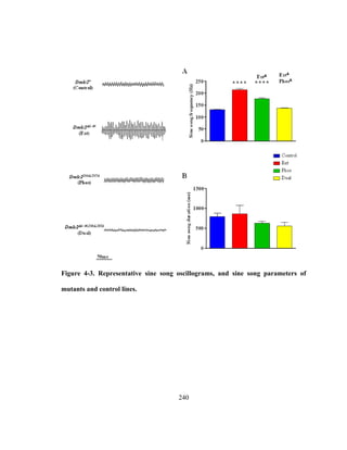 240
Figure 4-3. Representative sine song oscillograms, and sine song parameters of
mutants and control lines.
 