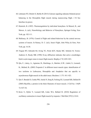 256
66. Lehmann FO, Dimitri S, Berthe R (2013) Calcium signaling indicates bilateral power
balancing in the Drosophila flight muscle during maneuvering flight. J R Soc
Interface (in press).
67. Heinrich, B. (1987). Thermoregulation by individual honeybees. In Menzel, R., and
Mercer, A. (ed.), Neurobiology and Behavior of Honeybees, Springer-Verlag, New
York, pp. 102-111.
68. Mulloney, B. (1976). Control of flight and related behaviour by the central nervous
systems of insects. In Rainey, R. C. (ed.), Insect Flight, John Wiley & Sons, New
York, pp. 16-30.
69. Tregear RT, Edwards RJ, Irving TC, Poole KJV, Reedy MC, Schmitz H, Towns-
Andrews E, Reedy MK (1998) X-ray diffraction indicates that active crossbridges
bind to actin target zones in insect flight muscle. Biophys J 74:1439-1451.
70. Qiu, F., Lakey, A., Agianian, B., Hutchings, A., Butcher, G.W., Labeit, S., Leonard,
K., Bullard, B., (2003) Troponin C in different insect muscle types: identification of
two isoforms in Lethocerus, Drosophila and Anopheles that are specific to
asynchronous flight muscle in the adult insect. Biochem. J. 371: 811–821.
71. Qiu F, Brendel S, Cunha PM, Astola N, Song B, Furlong EE, Leonard KR, Bullard B
(2005) Myofilin, a protein in the thick filaments of insect muscle. J Cell Sci. 118(Pt
7):1527-36.
72. Krzic U, Rybin V, Leonard KR, Linke WA, Bullard B. (2010) Regulation of
oscillatory contraction in insect flight muscle by troponin. J Mol Biol 397(1):110-8.
 