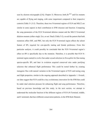 264
seen by electron micrographs ([14], Chapter 3). Moreover, both flnN62
and Ext mutants
are capable of flying and singing, with some impairment compared to their respective
controls (Table 5-1,5-2). Therefore, these two N-terminal regions of FLN and MLC2 are
similar in some aspects in their contribution to IFM structure and function. Comparing
the song parameters of the FLN N-terminal deletion mutant and the MLC2 N-terminal
deletion mutants (either single: Ext, or not: Dual) (Table 5-2), reveal the pattern that both
mutations affect SSF, and PDC, but only the FLN N-terminal region affects the salient
feature of IPI, required for con-specific mating and female preference. From this
particular analysis, it could possibly be concluded that the FLN N-terminal region’s
effect on IPI is specifically due to the mutation. Therefore, it is possible that FLN N-
terminal region started to evolve fast under sexual selection in Drosophila for fine-tuning
species-specific IPI, and later in evolution acquired conserved sites under purifying
selection that enhanced flight performance This could be tested further by creating
transgenic flies with natural variation in the N-terminal region of FLN and testing song
and flight properties, similar to the ongoing approach described in Appendix 1. Overall,
our data suggest that FLN could be a key evolutionary innovation for the IFM that could
be under dual selection pressure for enhancing flight and song performance. Therefore,
based on previous knowledge and this study, in the next section, we attempt to
understand the molecular function of the different regions of FLN (N-Terminal, middle,
and C-terminal), that have different conservation patterns, in the IFM thick filament.
 