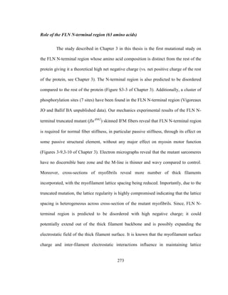 273
Role of the FLN N-terminal region (63 amino acids)
The study described in Chapter 3 in this thesis is the first mutational study on
the FLN N-terminal region whose amino acid composition is distinct from the rest of the
protein giving it a theoretical high net negative charge (vs. net positive charge of the rest
of the protein, see Chapter 3). The N-terminal region is also predicted to be disordered
compared to the rest of the protein (Figure S3-3 of Chapter 3). Additionally, a cluster of
phosphorylation sites (7 sites) have been found in the FLN N-terminal region (Vigoreaux
JO and Ballif BA unpublished data). Our mechanics experimental results of the FLN N-
terminal truncated mutant (flnN62
) skinned IFM fibers reveal that FLN N-terminal region
is required for normal fiber stiffness, in particular passive stiffness, through its effect on
some passive structural element, without any major effect on myosin motor function
(Figures 3-9,3-10 of Chapter 3). Electron micrographs reveal that the mutant sarcomeres
have no discernible bare zone and the M-line is thinner and wavy compared to control.
Moreover, cross-sections of myofibrils reveal more number of thick filaments
incorporated, with the myofilament lattice spacing being reduced. Importantly, due to the
truncated mutation, the lattice regularity is highly compromised indicating that the lattice
spacing is heterogeneous across cross-section of the mutant myofibrils. Since, FLN N-
terminal region is predicted to be disordered with high negative charge; it could
potentially extend out of the thick filament backbone and is possibly expanding the
electrostatic field of the thick filament surface. It is known that the myofilament surface
charge and inter-filament electrostatic interactions influence in maintaining lattice
 