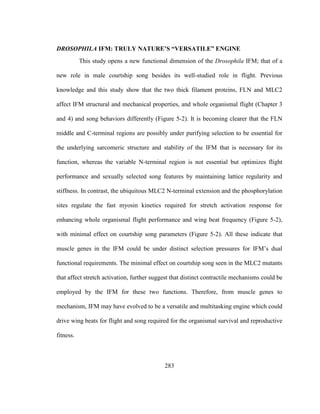 283
DROSOPHILA IFM: TRULY NATURE’S “VERSATILE” ENGINE
This study opens a new functional dimension of the Drosophila IFM; that of a
new role in male courtship song besides its well-studied role in flight. Previous
knowledge and this study show that the two thick filament proteins, FLN and MLC2
affect IFM structural and mechanical properties, and whole organismal flight (Chapter 3
and 4) and song behaviors differently (Figure 5-2). It is becoming clearer that the FLN
middle and C-terminal regions are possibly under purifying selection to be essential for
the underlying sarcomeric structure and stability of the IFM that is necessary for its
function, whereas the variable N-terminal region is not essential but optimizes flight
performance and sexually selected song features by maintaining lattice regularity and
stiffness. In contrast, the ubiquitous MLC2 N-terminal extension and the phosphorylation
sites regulate the fast myosin kinetics required for stretch activation response for
enhancing whole organismal flight performance and wing beat frequency (Figure 5-2),
with minimal effect on courtship song parameters (Figure 5-2). All these indicate that
muscle genes in the IFM could be under distinct selection pressures for IFM’s dual
functional requirements. The minimal effect on courtship song seen in the MLC2 mutants
that affect stretch activation, further suggest that distinct contractile mechanisms could be
employed by the IFM for these two functions. Therefore, from muscle genes to
mechanism, IFM may have evolved to be a versatile and multitasking engine which could
drive wing beats for flight and song required for the organismal survival and reproductive
fitness.
 