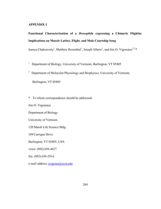 289
APPENDIX 1
Functional Characterization of a Drosophila expressing a Chimeric Flightin:
Implications on Muscle Lattice, Flight, and Male Courtship Song
Samya Chakravorty1
, Matthew Rosenthal1
, Joseph Allario1
, and Jim O. Vigoreaux1,2,
*
1
Department of Biology, University of Vermont, Burlington, VT 05405
2
Department of Molecular Physiology and Biophysics, University of Vermont,
Burlington, VT 05405
* To whom correspondence should be addressed:
Jim O. Vigoreaux
Department of Biology
University of Vermont,
120 Marsh Life Science Bldg.
109 Carrigan Drive
Burlington, VT 05405, USA
voice: (802) 656-4627
fax: (802) 656-2914.
e-mail address: jvigorea@uvm.edu
 