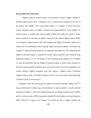 290
BACKGROUND AND GOAL
Flightin sequence analysis across 12 Drosophila revealed a highly variable N-
terminal region (amino acids 1 through 63 in D. melanogaster) compared to the rest of
the protein that exhibits ~70% conservation (Figure 3-1, Chapter 3). Given that most
muscle structural genes are highly conserved, the hypervariability of the flightin N-
terminal region is notable and could possibly indicate that either the region is under
positive selection to fine-tune an adaptive function of the indirect flight muscles (IFM),
or evolving by random genetic drift. Our findings that flightin N-terminal region has a
critical role in myofilament lattice spacing, flight, and species-specific courtship song
(Chapter 3) indicate that the region has an important functional role. The finding that the
flightin N-terminal region is required for normal species-specific male courtship song
parameters (Figures 3-4, 3-5 of Chapter 3) and courtship success (Figure 3-6 of Chapter
3), raise the possibility that the flightin N-terminal region is under sexual selection to
fine-tune species-specific courtship song across Drosophila. To test this hypothesis, we
created chimeric flightin transgenic lines that express a flightin whose N-terminal
sequence (amino acids 1 through 67) derives from D. virilis and amino acids 68 through
182 derives from D. melanogaster.
Transgenic male fly expressing the flightin N-terminal truncated flightin (flnN62
)
sings an abnormal courtship song with aberrations in species-specific, sexually selected
parameters (Chapter 3). The most notable aberrations are longer interpulse interval (IPI),
greater cycles per pulse (CPP), longer pulse length (PL) and a higher sine song frequency
(SSF) (Table S3-3, Figure 3-4 in Chapter 3) of which the IPI is a highly variable trait
 