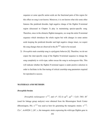 292
sequence or some specific amino acids are the functional parts of this region for
this effect on song is not known. Moreover, it is not known what role some other
features like predicted disorder, high negative charge of the flightin N-terminal
region (discussed in Chapter 3) play in maintaining species-specific song.
Therefore, since in the chimeric flightin transgenic, we swap the entire N-terminal
sequence which introduces the whole region but with changes in some amino
acids keeping the predicted disorder and high negative charge intact, we expect
the song changes that are observed in the flnN62
male to be rescued.
2) Drosophila male courtship song is a polygenic behavior [8]. Therefore, we do not
expect the inter-specific swap of the flightin N-terminal sequence to change the
song completely to virilis-type, rather rescue the song to melanogaster-like. This
will indicate whether the flightin N-terminal region is under positive selection in
order to facilitate in the fine-tuning of critical courtship song parameters required
for reproductive success.
MATERIALS AND METHODS
Drosophila Strains
Drosophila melanogaster w1118
, and w*; T(2;3) apXa
, apXa
/ CyO; TM3, Sb1
(used for linkage group analysis) were obtained from the Bloomington Stock Center
(Bloomington, IN). w1118
was used as host for generating the transgenic strains. w1118
;
P{w+
, Act88Ffln+
}; flno
, e, the transgenic strain expressing the wild-type flightin gene in
 