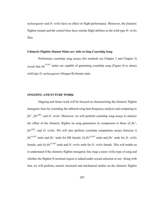 297
melanogaster and D. virilis have no effect on flight performance. Moreover, the chimeric
flightin mutant and the control lines have similar flight abilities as the wild type D. virilis
flies.
Chimeric Flightin Mutant Males are Able to Sing Courtship Song
Preliminary courtship song assays (for methods see Chapter 2 and Chapter 3)
reveal that fln
VirN67
males are capable of generating courtship song (Figure 4) to attract
wild type D. melanogaster (Oregon R) female mate.
ONGOING AND FUTURE WORK
Ongoing and future work will be focused on characterizing the chimeric flightin
transgenic lines by extending the tethered wing beat frequency analysis and comparing to
fln+
, flnN62
, and D. virilis. Moreover, we will perform courtship song assays to analyze
the effect of the chimeric fligthin on song parameters in comparison to those of fln+
,
flnN62
, and D. virilis. We will also perform courtship competition assays between i)
flnVirN67
male and fln+
male for OR female, ii) flnVirN67
male and fln+
male for D. virilis
female, and iii) flnVirN67
male and D. virilis male for D. virilis female. This will enable us
to understand if the chimeric flightin transgenic line sings a more virilis-type of song and
whether the flightin N-terminal region is indeed under sexual selection or not. Along with
that, we will perform, muscle structural and mechanical studies on the chimeric flightin
 