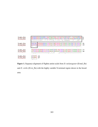 303
Figure 1. Sequence alignment of flightin amino acids from D. melanogaster (D.mel_fln)
and D. virilis (D.vir_fln) with the highly variable N-terminal region shown in the boxed
area.
 