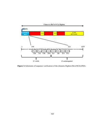 305
Figure 3. Schematic of sequence verification of the chimeric flightin (flnvirNCh) DNA.
 