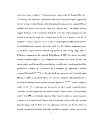 311
somewhat conserved carboxy (C) terminus region (amino acids 138 through 182) with ~
59% identity. The differential conservation of these three regions of flightin suggests that
they are separate protein domains under distinct evolutionary selection regimes [19], and
possibly with distinct functions like flight and courtship song. Our previous findings
suggest that there could be substantial dichotomy in the type of muscle genes and gene
regions being used for flight and courtship song in the IFM (Chapters 3 and 4). For
example, N-terminal extension (46 aa) and the two critical phosphorylation sites (Serines
66 and 67) of myosin regulatory light chain (Dmlc2), a thick filament associated protein,
do not have a major effect in courtship song generation while having a large effect in
IFM power enhancement for maximal flight (Chapter 4, [20]). In contrary, the highly
variable N-terminal region (63 aa) of flightin is not essential but required for both fine-
tuning species-specific courtship song enhancing courtship success, and optimizing flight
performance (Chapter 3), as evidenced in a transgenic fly expressing N-terminal
truncated flightin (flnN62/N62
). On the other hand, the more conserved C-terminal region
(44 aa) of flightin is essential for basic IFM structural integrity, contractile function, as
seen in a mutant expressing C-terminal truncated flightin (flnC44/C44
) that are completely
unable to fly [19] or sing (data not shown) due to major muscle structural defects.
Therefore, our data suggest that one ubiquitous thick filament protein (Dmlc2) is being
used by the IFM to specifically maximize flight behavior subject to natural selection,
whereas, an IFM-specific thick filament protein (flightin) is possibly under dual selection
pressure: being used for both basic and optimizing functions for the two behaviors
through conserved (C-terminal) and highly variable (N-terminal) regions, respectively.
 