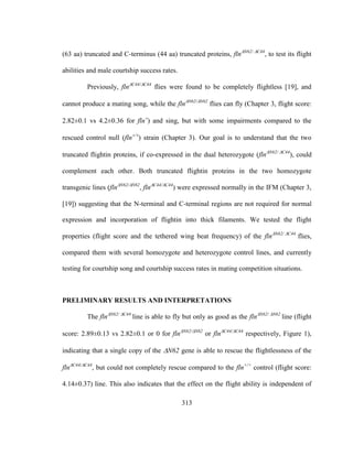 313
(63 aa) truncated and C-terminus (44 aa) truncated proteins, flnN62/C44
, to test its flight
abilities and male courtship success rates.
Previously, flnC44/C44
flies were found to be completely flightless [19], and
cannot produce a mating song, while the flnN62/N62
flies can fly (Chapter 3, flight score:
2.82±0.1 vs 4.2±0.36 for fln
) and sing, but with some impairments compared to the
rescued control null (fln
) strain (Chapter 3). Our goal is to understand that the two
truncated flightin proteins, if co-expressed in the dual heterozygote (flnN62/C44
), could
complement each other. Both truncated flightin proteins in the two homozygote
transgenic lines (flnN62/N62
, flnC44/C44
) were expressed normally in the IFM (Chapter 3,
[19]) suggesting that the N-terminal and C-terminal regions are not required for normal
expression and incorporation of flightin into thick filaments. We tested the flight
properties (flight score and the tethered wing beat frequency) of the flnN62/C44
flies,
compared them with several homozygote and heterozygote control lines, and currently
testing for courtship song and courtship success rates in mating competition situations.
PRELIMINARY RESULTS AND INTERPRETATIONS
The flnN62/C44
line is able to fly but only as good as the flnN62/N62
line (flight
score: 2.89±0.13 vs 2.82±0.1 or 0 for flnN62/N62
or flnC44/C44
respectively, Figure 1),
indicating that a single copy of the N62 gene is able to rescue the flightlessness of the
flnC44/C44
, but could not completely rescue compared to the fln+/+
control (flight score:
4.14±0.37) line. This also indicates that the effect on the flight ability is independent of
 