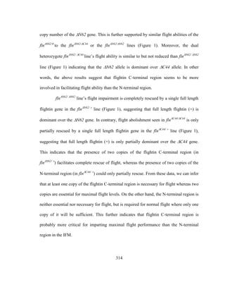 314
copy number of the N62 gene. This is further supported by similar flight abilities of the
flnN62/
to the flnN62/C44
or the flnN62/N62
lines (Figure 1). Moreover, the dual
heterozygote flnN62/C44
line’s flight ability is similar to but not reduced than flnN62/N62
line (Figure 1) indicating that the N62 allele is dominant over C44 allele. In other
words, the above results suggest that flightin C-terminal region seems to be more
involved in facilitating flight ability than the N-terminal region.
flnN62/N62
line’s flight impairment is completely rescued by a single full length
flightin gene in the flnN62/
line (Figure 1), suggesting that full length flightin (+) is
dominant over the N62 gene. In contrary, flight abolishment seen in flnC44/C44
is only
partially rescued by a single full length flightin gene in the flnC44/
line (Figure 1),
suggesting that full length flightin (+) is only partially dominant over the C44 gene.
This indicates that the presence of two copies of the flightin C-terminal region (in
flnN62/
) facilitates complete rescue of flight, whereas the presence of two copies of the
N-terminal region (in flnC44/
) could only partially rescue. From these data, we can infer
that at least one copy of the flightin C-terminal region is necessary for flight whereas two
copies are essential for maximal flight levels. On the other hand, the N-terminal region is
neither essential nor necessary for flight, but is required for normal flight where only one
copy of it will be sufficient. This further indicates that flightin C-terminal region is
probably more critical for imparting maximal flight performance than the N-terminal
region in the IFM.
 