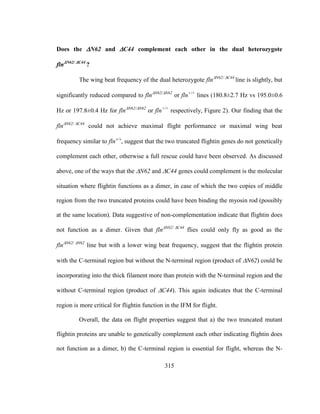 315
Does the N62 and C44 complement each other in the dual heterozygote
flnN62/C44
?
The wing beat frequency of the dual heterozygote flnN62/C44
line is slightly, but
significantly reduced compared to flnN62/N62
or fln+/+
lines (180.8±2.7 Hz vs 195.0±0.6
Hz or 197.8±0.4 Hz for flnN62/N62
or fln+/+
respectively, Figure 2). Our finding that the
flnN62/C44
could not achieve maximal flight performance or maximal wing beat
frequency similar to fln
suggest that the two truncated flightin genes do not genetically
complement each other, otherwise a full rescue could have been observed. As discussed
above, one of the ways that the N62 and C44 genes could complement is the molecular
situation where flightin functions as a dimer, in case of which the two copies of middle
region from the two truncated proteins could have been binding the myosin rod (possibly
at the same location). Data suggestive of non-complementation indicate that flightin does
not function as a dimer. Given that flnN62/C44
flies could only fly as good as the
flnN62/N62
line but with a lower wing beat frequency, suggest that the flightin protein
with the C-terminal region but without the N-terminal region (product of N62) could be
incorporating into the thick filament more than protein with the N-terminal region and the
without C-terminal region (product of C44). This again indicates that the C-terminal
region is more critical for flightin function in the IFM for flight.
Overall, the data on flight properties suggest that a) the two truncated mutant
flightin proteins are unable to genetically complement each other indicating flightin does
not function as a dimer, b) the C-terminal region is essential for flight, whereas the N-
 