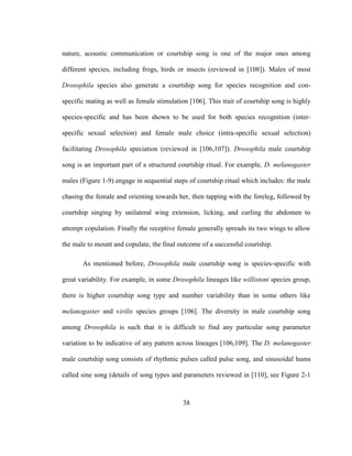 38
nature, acoustic communication or courtship song is one of the major ones among
different species, including frogs, birds or insects (reviewed in [108]). Males of most
Drosophila species also generate a courtship song for species recognition and con-
specific mating as well as female stimulation [106]. This trait of courtship song is highly
species-specific and has been shown to be used for both species recognition (inter-
specific sexual selection) and female male choice (intra-specific sexual selection)
facilitating Drosophila speciation (reviewed in [106,107]). Drosophila male courtship
song is an important part of a structured courtship ritual. For example, D. melanogaster
males (Figure 1-9) engage in sequential steps of courtship ritual which includes: the male
chasing the female and orienting towards her, then tapping with the foreleg, followed by
courtship singing by unilateral wing extension, licking, and curling the abdomen to
attempt copulation. Finally the receptive female generally spreads its two wings to allow
the male to mount and copulate, the final outcome of a successful courtship.
As mentioned before, Drosophila male courtship song is species-specific with
great variability. For example, in some Drosophila lineages like willistoni species group,
there is higher courtship song type and number variability than in some others like
melanogaster and virilis species groups [106]. The diversity in male courtship song
among Drosophila is such that it is difficult to find any particular song parameter
variation to be indicative of any pattern across lineages [106,109]. The D. melanogaster
male courtship song consists of rhythmic pulses called pulse song, and sinusoidal hums
called sine song (details of song types and parameters reviewed in [110], see Figure 2-1
 