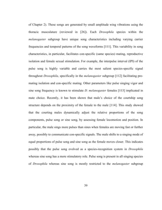 39
of Chapter 2). These songs are generated by small amplitude wing vibrations using the
thoracic musculature (reviewed in [26]). Each Drosophila species within the
melanogaster subgroup have unique song characteristics including varying carrier
frequencies and temporal patterns of the song waveforms [111]. This variability in song
characteristics, in particular, facilitates con-specific (same species) mating, reproductive
isolation and female sexual stimulation. For example, the interpulse interval (IPI) of the
pulse song is highly variable and carries the most salient species-specific signal
throughout Drosophila, specifically in the melanogaster subgroup [112] facilitating pre-
mating isolation and con-specific mating. Other parameters like pulse singing vigor and
sine song frequency is known to stimulate D. melanogaster females [113] implicated in
mate choice. Recently, it has been shown that male’s choice of the courtship song
structure depends on the proximity of the female to the male [114]. This study showed
that the courting males dynamically adjust the relative proportions of the song
components, pulse song or sine song, by assessing female locomotion and position. In
particular, the male sings more pulses than sines when females are moving fast or further
away, possibly to communicate con-specific signals. The male shifts to a singing mode of
equal proportions of pulse song and sine song as the female moves closer. This indicates
possibly that the pulse song evolved as a species-recognition system in Drosophila
whereas sine song has a more stimulatory role. Pulse song is present in all singing species
of Drosophila whereas sine song is mostly restricted to the melanogaster subgroup
 