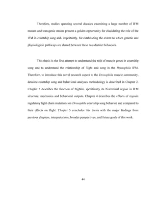 44
Therefore, studies spanning several decades examining a large number of IFM
mutant and transgenic strains present a golden opportunity for elucidating the role of the
IFM in courtship song and, importantly, for establishing the extent to which genetic and
physiological pathways are shared between these two distinct behaviors.
This thesis is the first attempt to understand the role of muscle genes in courtship
song and to understand the relationship of flight and song in the Drosophila IFM.
Therefore, to introduce this novel research aspect to the Drosophila muscle community,
detailed courtship song and behavioral analyses methodology is described in Chapter 2.
Chapter 3 describes the function of flightin, specifically its N-terminal region in IFM
structure, mechanics and behavioral outputs. Chapter 4 describes the effects of myosin
regulatory light chain mutations on Drosophila courtship song behavior and compared to
their effects on flight. Chapter 5 concludes this thesis with the major findings from
previous chapters, interpretations, broader perspectives, and future goals of this work.
 