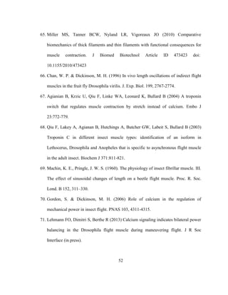 52
65. Miller MS, Tanner BCW, Nyland LR, Vigoreaux JO (2010) Comparative
biomechanics of thick filaments and thin filaments with functional consequences for
muscle contraction. J Biomed Biotechnol Article ID 473423 doi:
10.1155/2010/473423
66. Chan, W. P. & Dickinson, M. H. (1996) In vivo length oscillations of indirect flight
muscles in the fruit fly Drosophila virilis. J. Exp. Biol. 199, 2767-2774.
67. Agianian B, Krzic U, Qiu F, Linke WA, Leonard K, Bullard B (2004) A troponin
switch that regulates muscle contraction by stretch instead of calcium. Embo J
23:772-779.
68. Qiu F, Lakey A, Agianan B, Hutchings A, Butcher GW, Labeit S, Bullard B (2003)
Troponin C in different insect muscle types: identification of an isoform in
Lethocerus, Drosophila and Anopheles that is specific to asynchronous flight muscle
in the adult insect. Biochem J 371:811-821.
69. Machin, K. E., Pringle, J. W. S. (1960). The physiology of insect fibrillar muscle. III.
The effect of sinusoidal changes of length on a beetle flight muscle. Proc. R. Soc.
Lond. B 152, 311–330.
70. Gordon, S. & Dickinson, M. H. (2006) Role of calcium in the regulation of
mechanical power in insect flight. PNAS 103, 4311-4315.
71. Lehmann FO, Dimitri S, Berthe R (2013) Calcium signaling indicates bilateral power
balancing in the Drosophila flight muscle during maneuvering flight. J R Soc
Interface (in press).
 